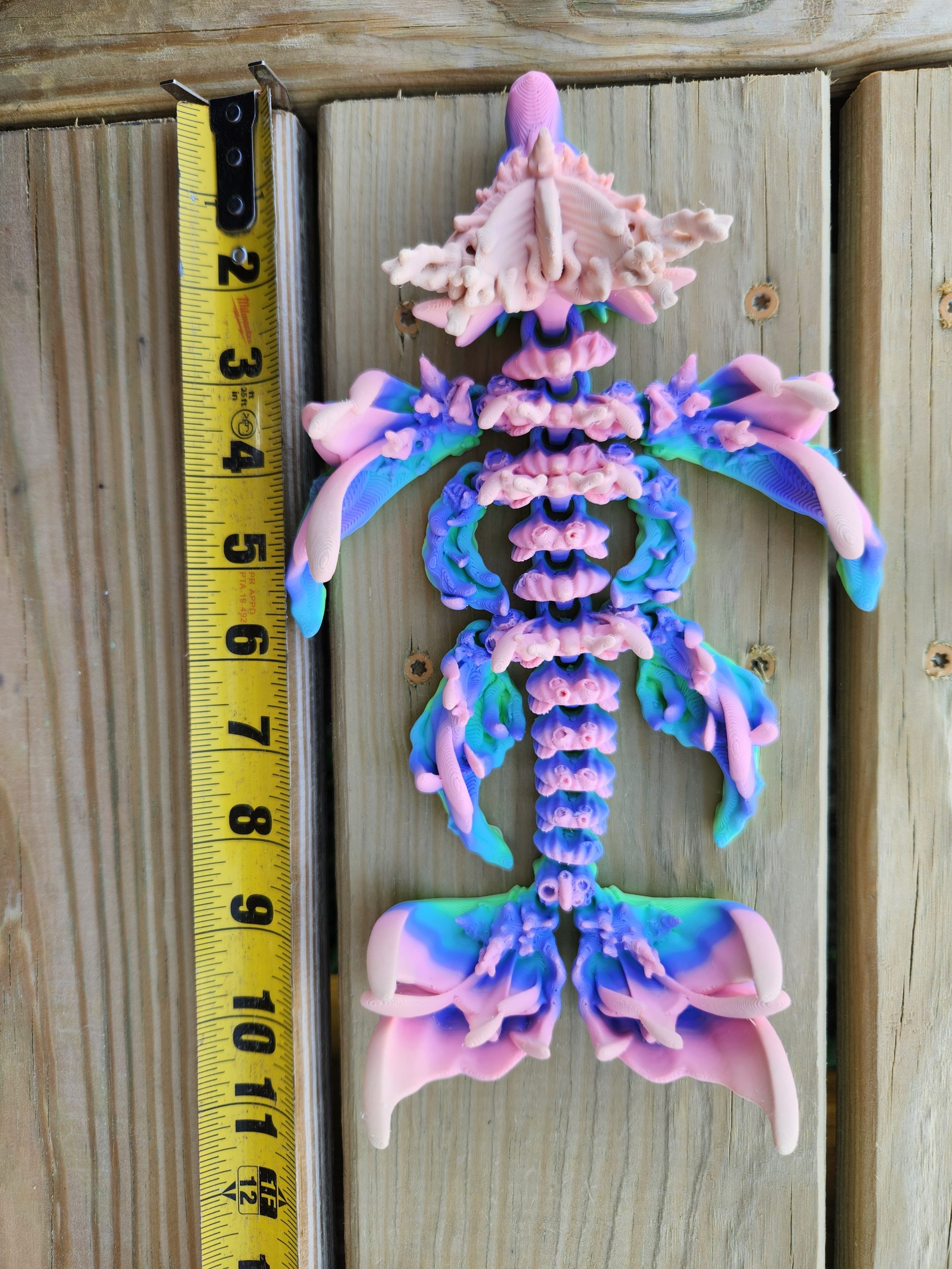 Baby Coral Reef Length