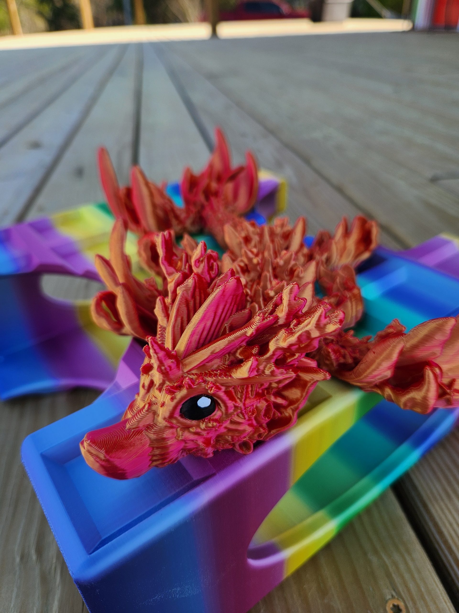 Baby Coral Reef Up Close